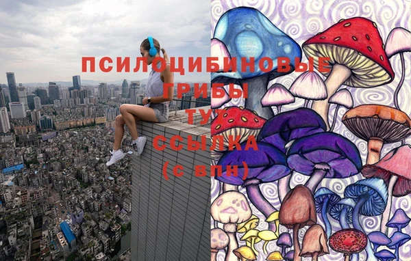 прущая мука Арсеньев