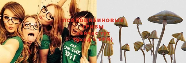 спиды Аркадак