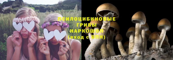 спиды Аркадак