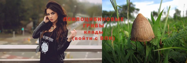 гидропоника Балабаново